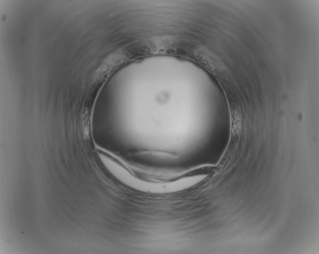 X0000075920719200610062207