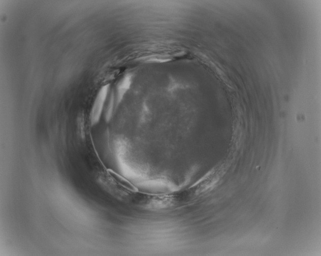 X0000075920720200610062207