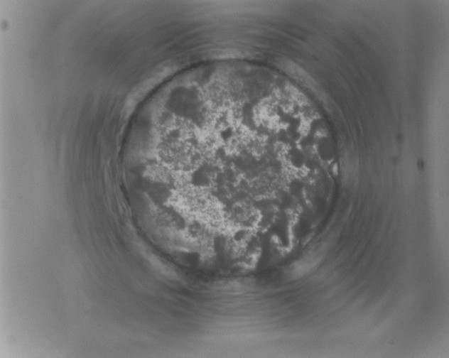 X0000075920721200610062207