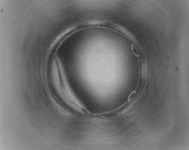 X0000075920722200610062207