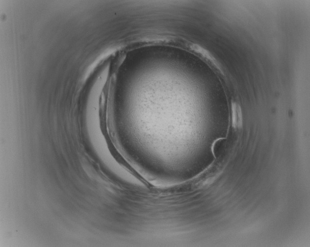 X0000075920723200610062207