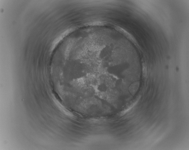 X0000075920725200610062207