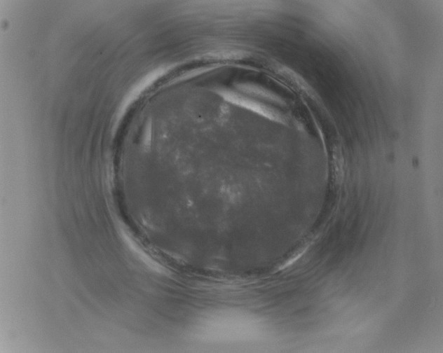 X0000075920726200610062207