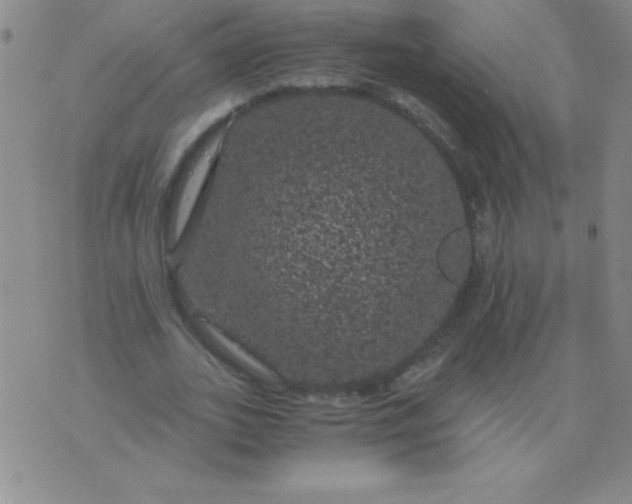 X0000075920727200610062207