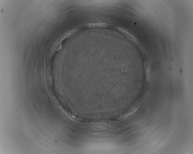 X0000075920729200610062207