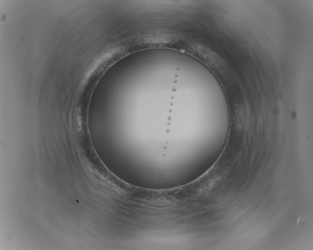 X0000075920731200610062207