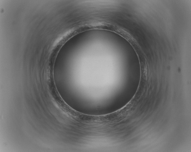 X0000075920732200610062207