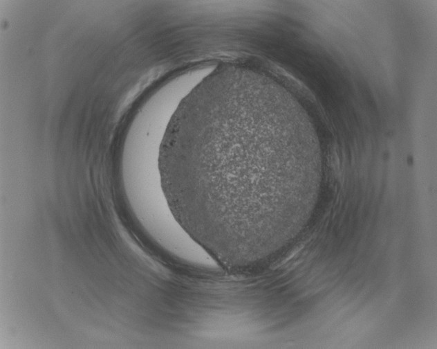 X0000075920734200610062207