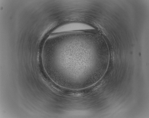 X0000075920735200610062207