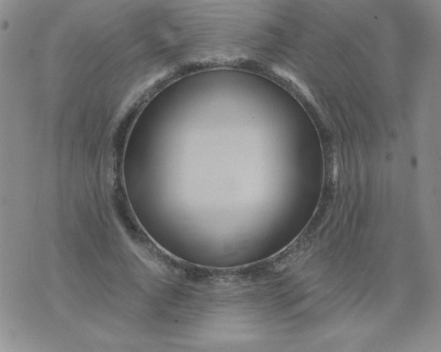 X0000075920736200610062207