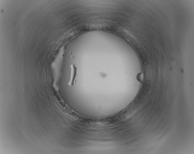 X0000075920737200610062207