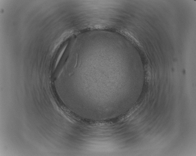 X0000075920738200610062207