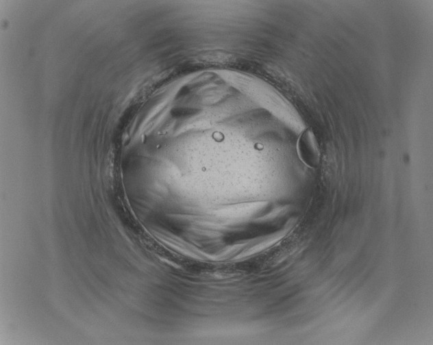 X0000075920739200610062207