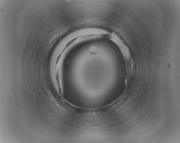 X0000075920740200610062207