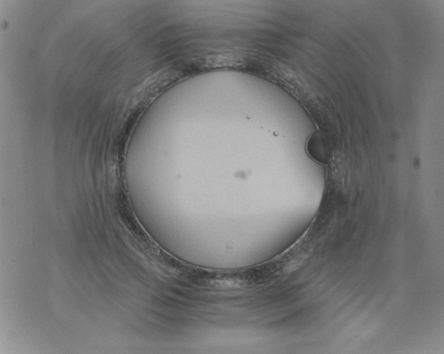 X0000075920741200610062207