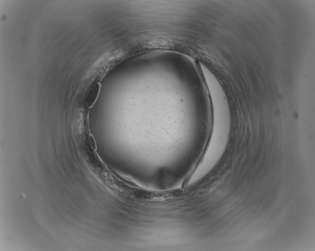 X0000075920744200610062207