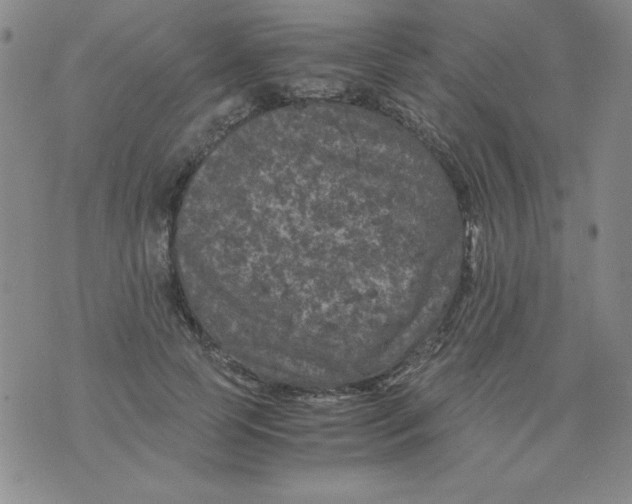 X0000075920745200610062207