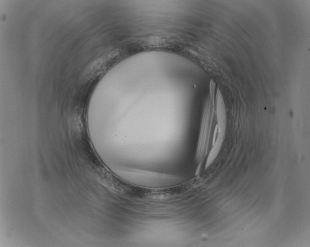 X0000075920746200610062207