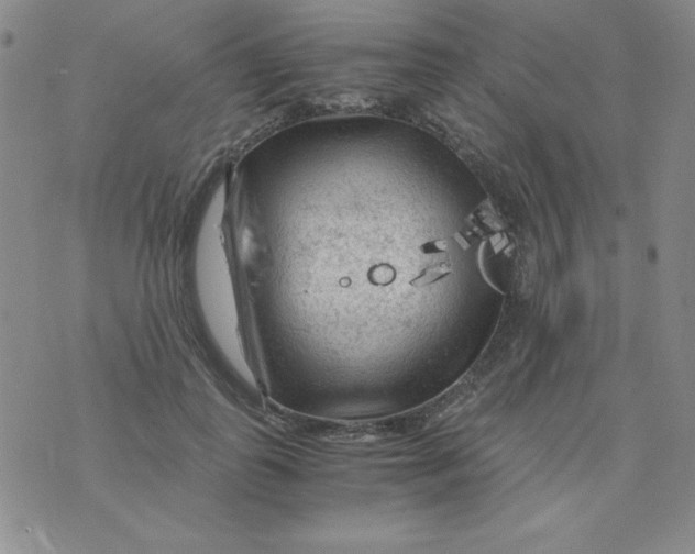 X0000075920747200610062207