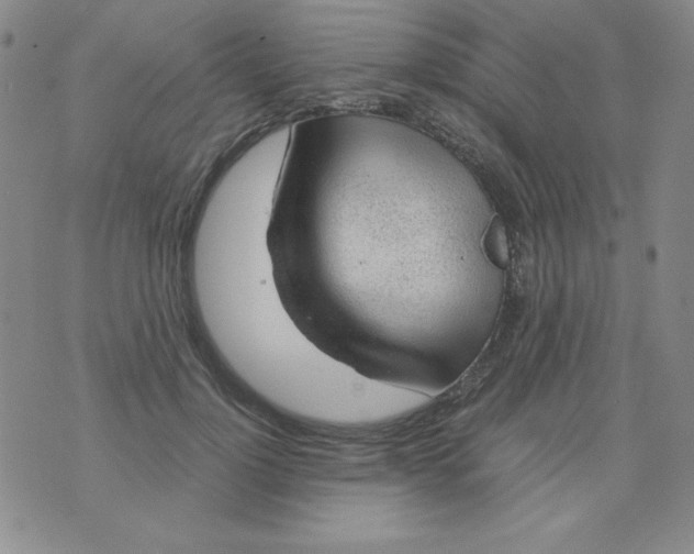 X0000075920748200610062207