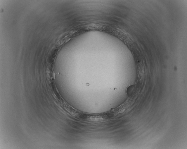 X0000075920749200610062207