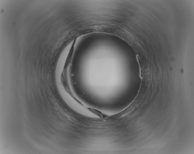 X0000075920750200610062207