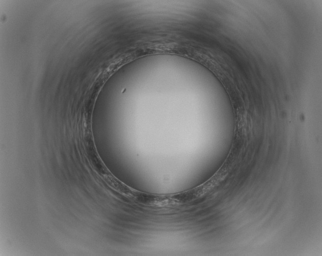 X0000075920752200610062207