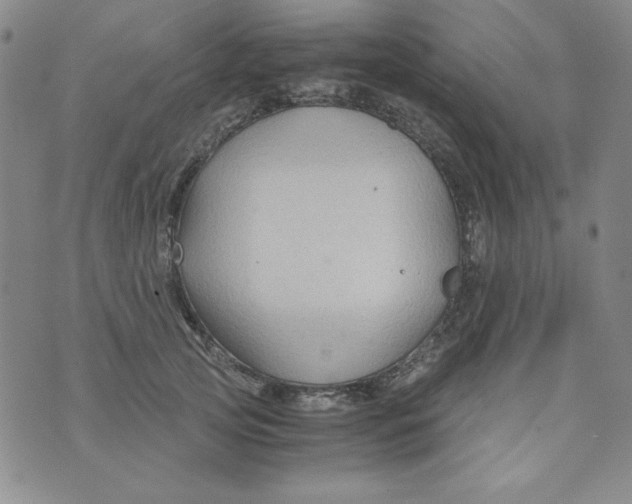 X0000075920753200610062207