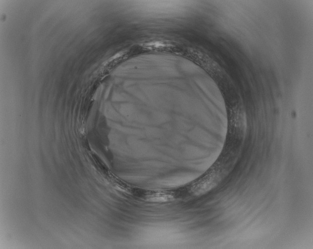 X0000075920754200610062207