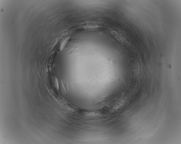 X0000075920755200610062207