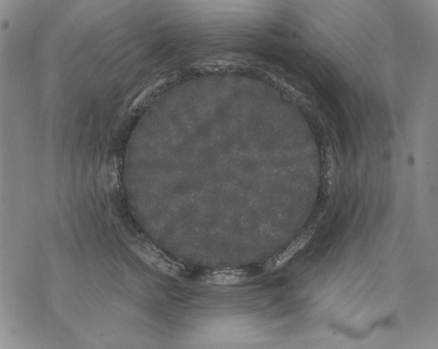 X0000075920758200610062207