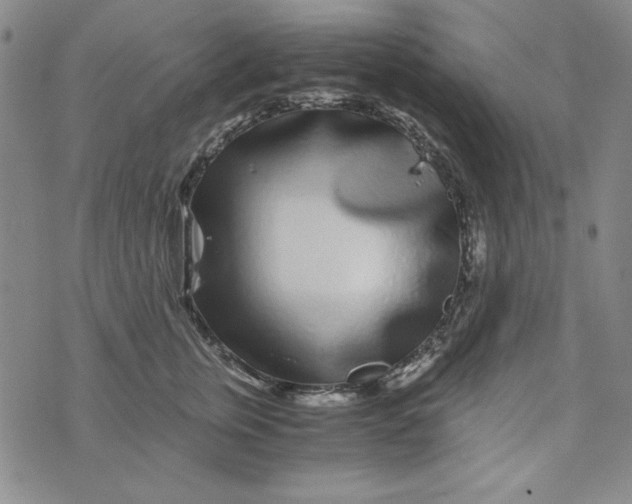 X0000075920759200610062207