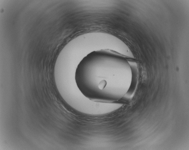 X0000075920760200610062207