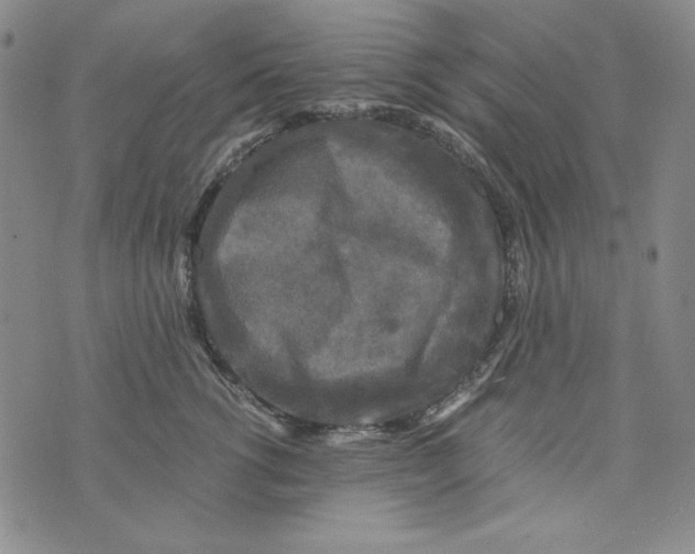 X0000075920762200610062207