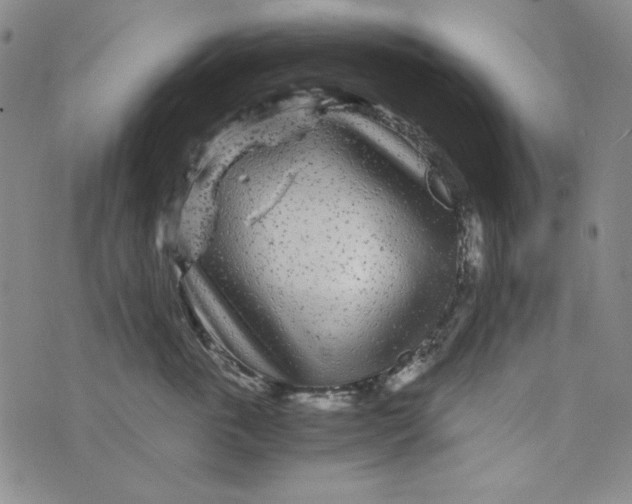 X0000075920763200610062207