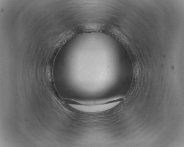 X0000075920764200610062207