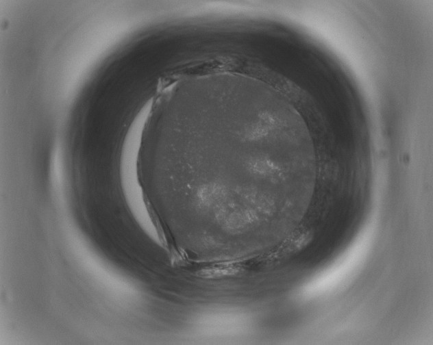 X0000075920765200610062207