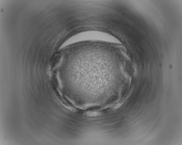 X0000075920766200610062207