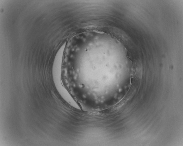 X0000075920767200610062207