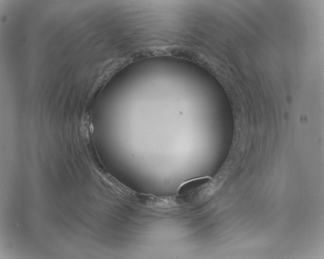 X0000075920768200610062207