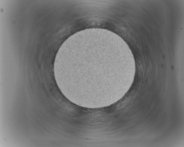 X0000075920769200610062207