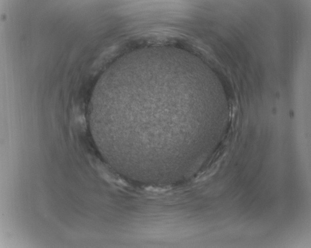 X0000075920771200610062207