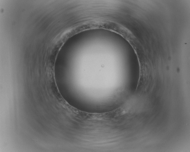 X0000075920773200610062207