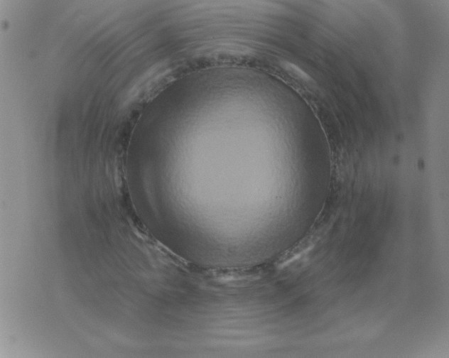 X0000075920774200610062207