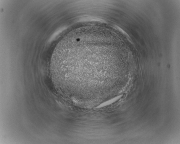 X0000075920775200610062207