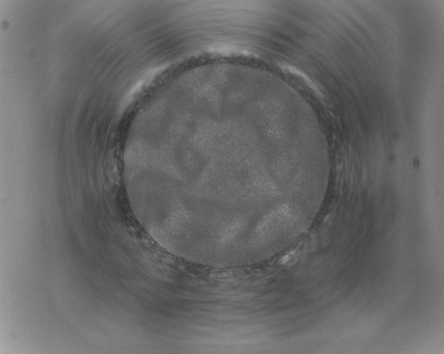 X0000075920776200610062207