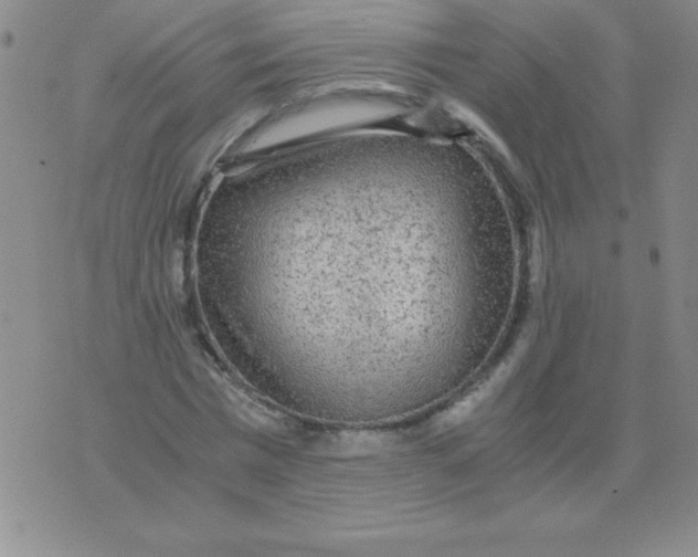 X0000075920777200610062207