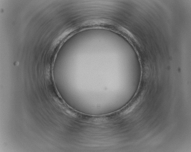 X0000075920778200610062207