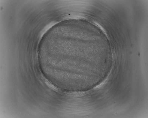 X0000075920779200610062206