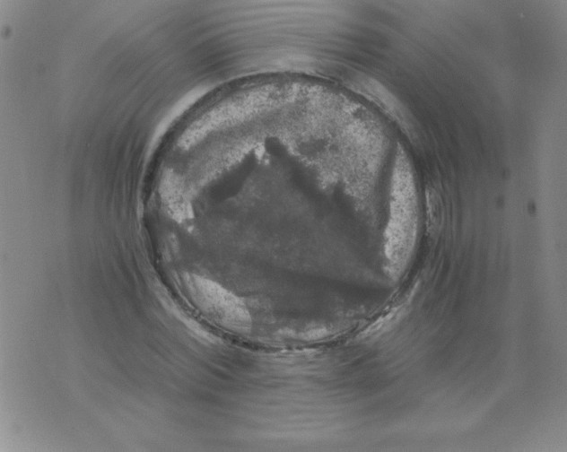 X0000075920780200610062206